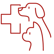 chiens chats assurés